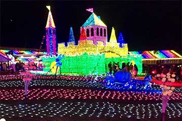 【新宿発】安房神社初詣・鋸南町水仙まつり&約300万球の東京ドイツ村ウインターイルミネーション!2